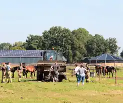 Brandweer schiet paard in problemen te hulp