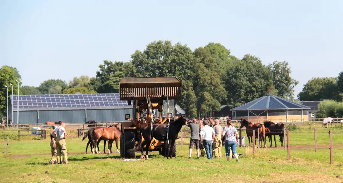 Brandweer schiet paard in problemen te hulp - Foto 3