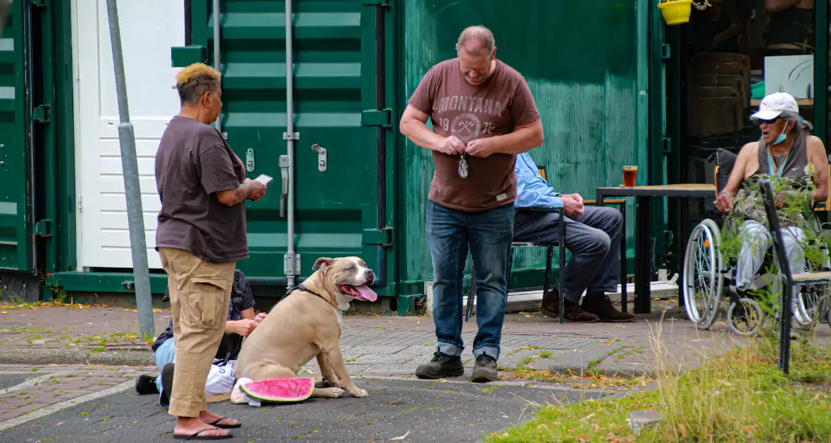 Hulpdiensten ingezet voor vechtpartij - Foto 1