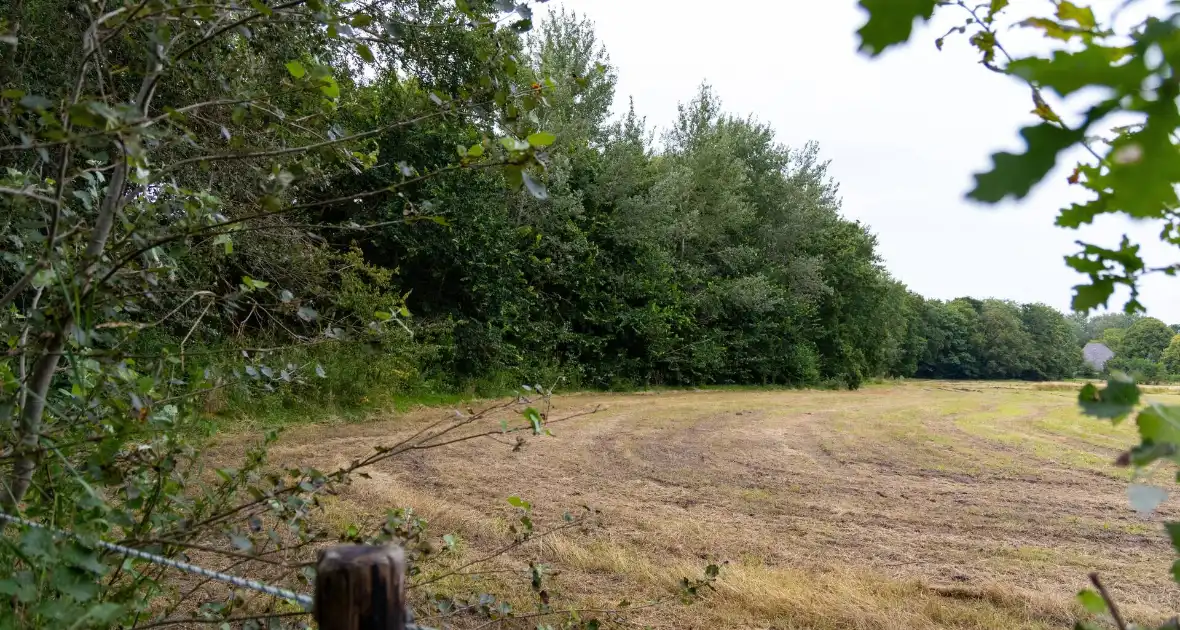 Duingebied uitgekamd door zoekteam in zoektocht naar vermiste man - Foto 15