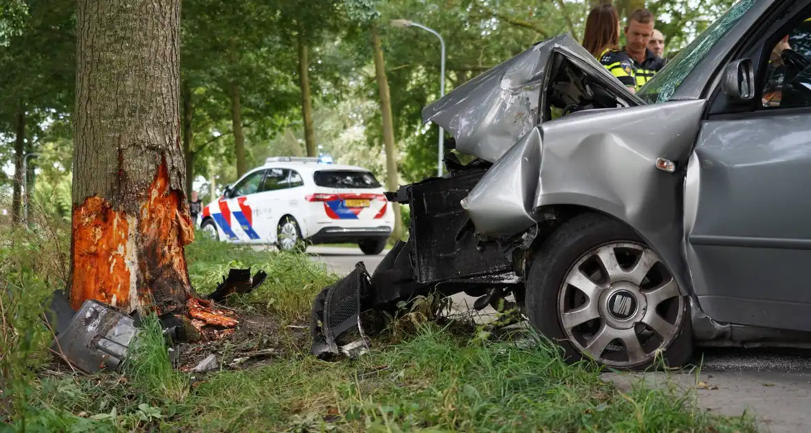 Inzittenden gewond bij botsing tegen boom - Foto 9