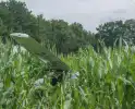Lesvliegtuig landt in maisveld