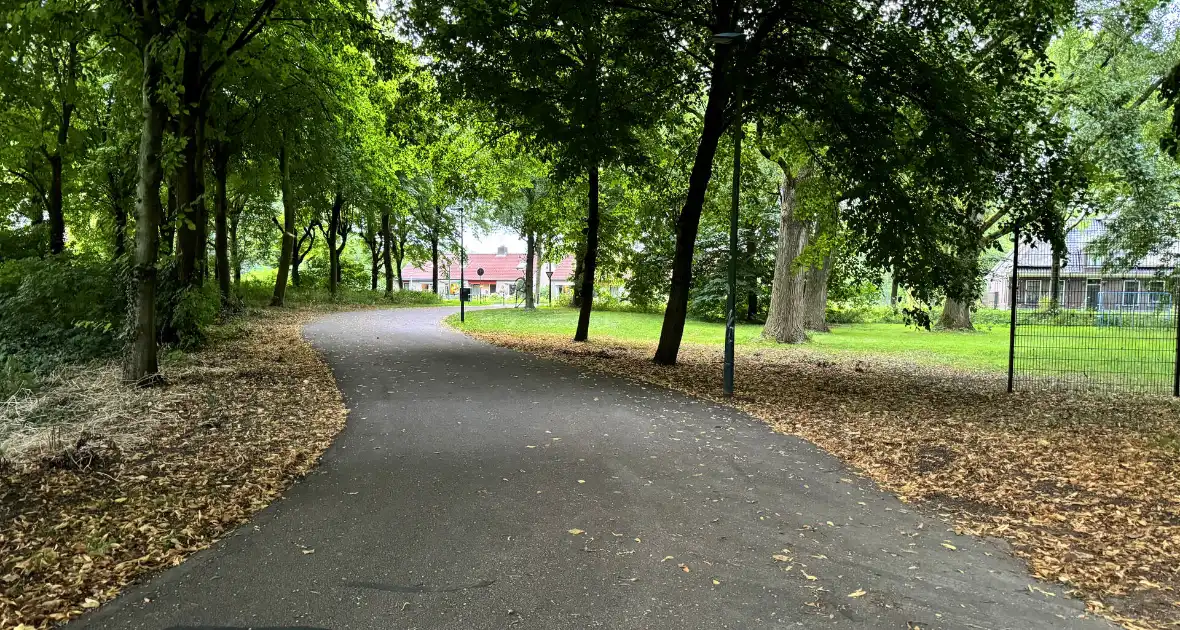 Politie zoekt getuigen na verkrachting in park