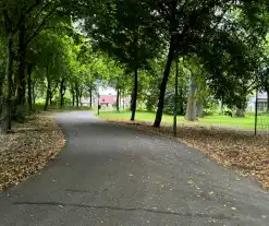 Politie zoekt getuigen na verkrachting in park