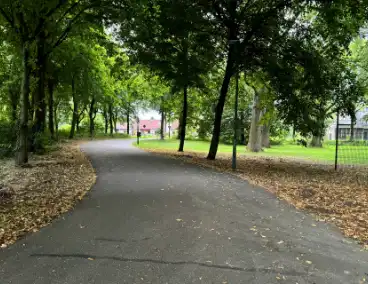 Politie zoekt getuigen na verkrachting in park