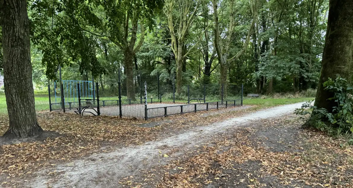 Politie zoekt getuigen na verkrachting in park - Foto 1