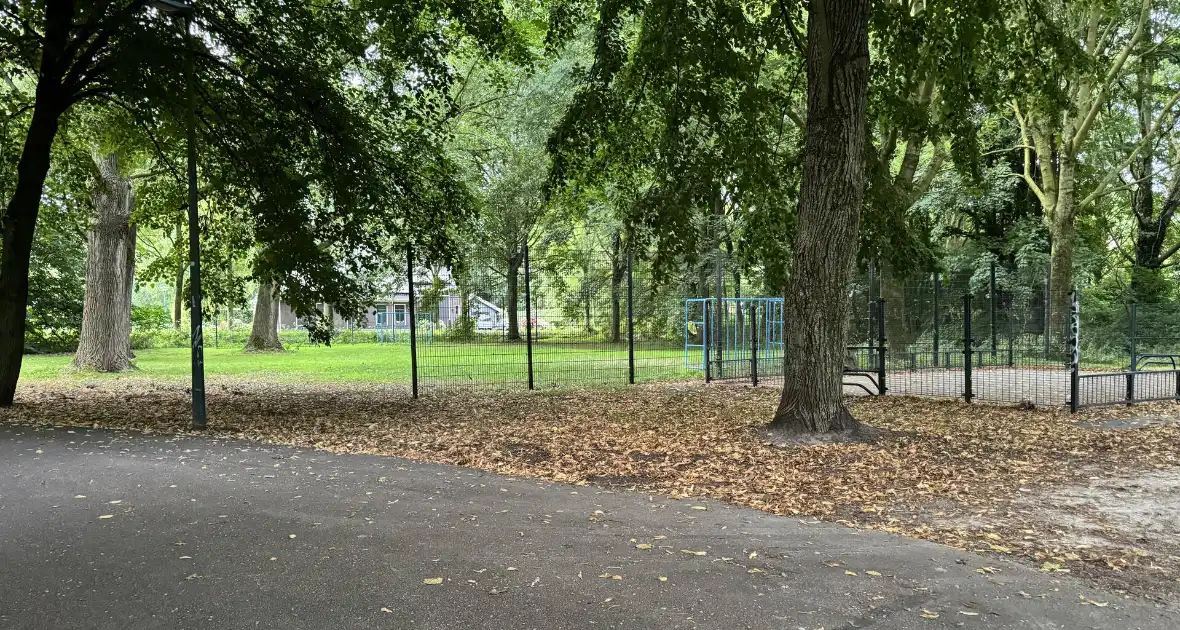 Politie zoekt getuigen na verkrachting in park - Foto 2