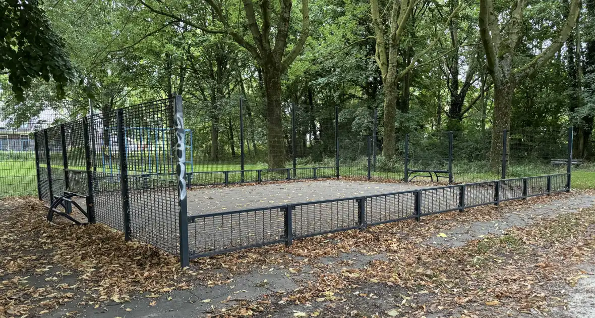 Politie zoekt getuigen na verkrachting in park - Foto 3