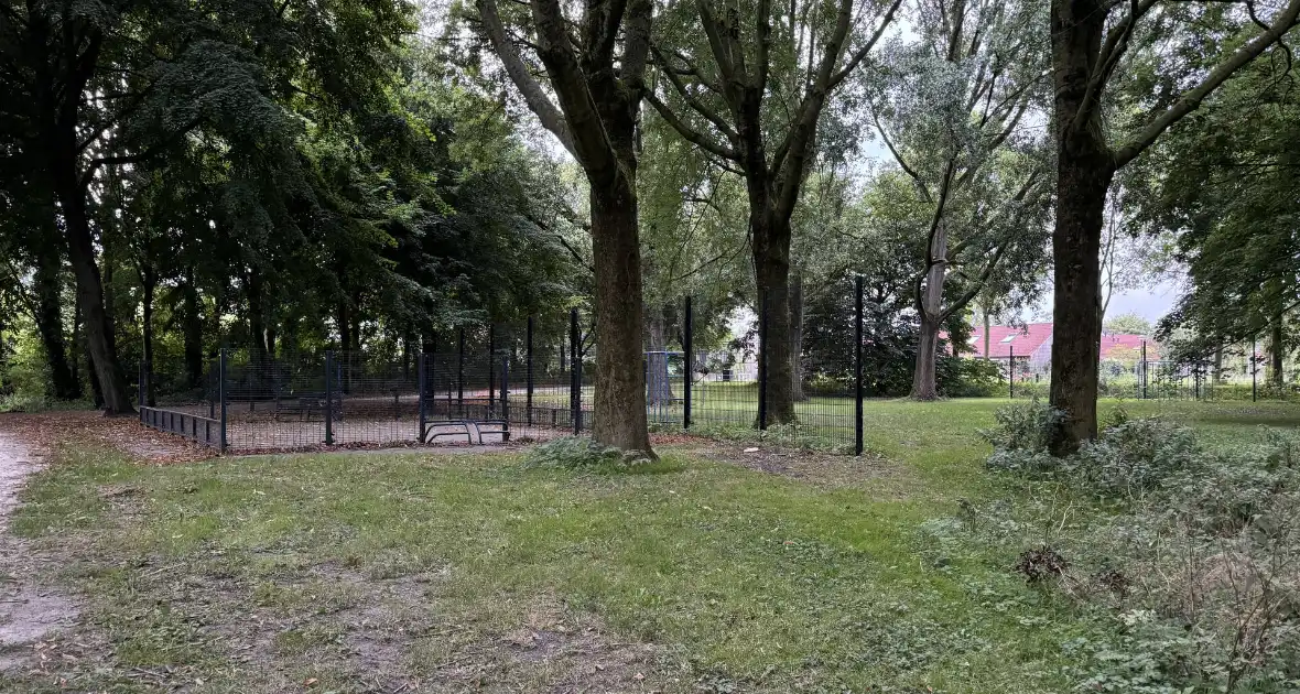 Politie zoekt getuigen na verkrachting in park - Foto 4