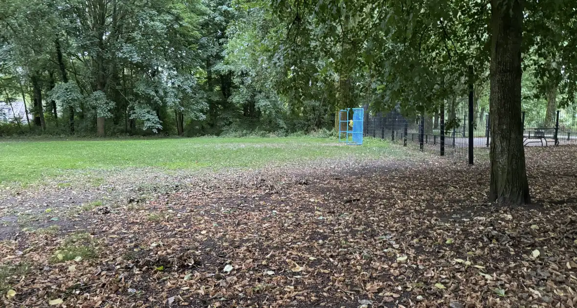 Politie zoekt getuigen na verkrachting in park - Foto 5