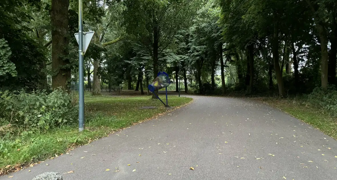 Politie zoekt getuigen na verkrachting in park - Foto 6