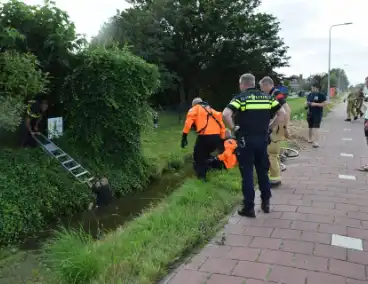 Brandweer haalt fietser uit sloot