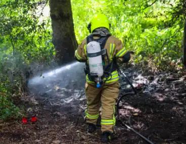 Brandweer blust brand in bosjes