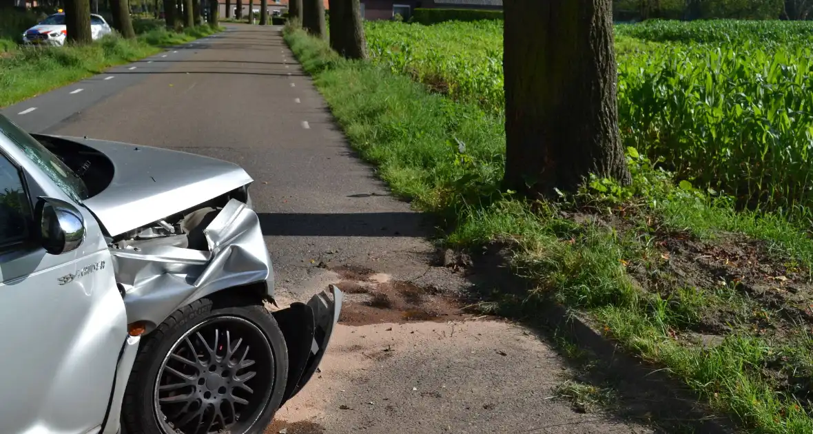 Auto zwaar beschadigd na ongeval met boom - Foto 5