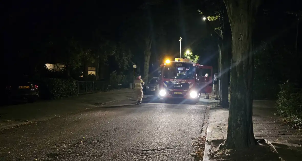 Boom valt tussen twee geparkeerde auto's - Foto 1