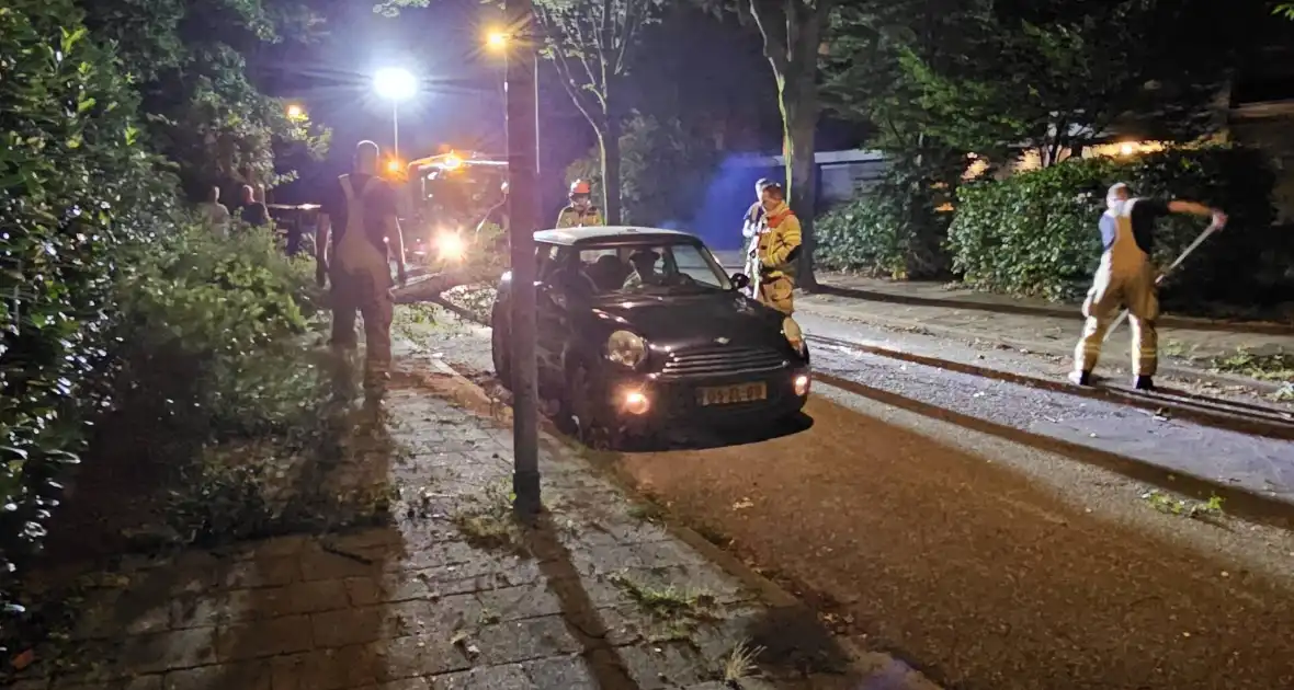 Boom valt tussen twee geparkeerde auto's - Foto 2