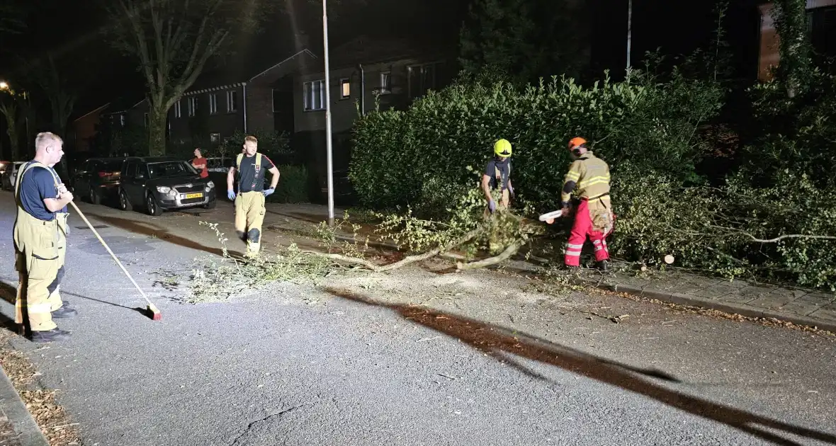 Boom valt tussen twee geparkeerde auto's - Foto 4