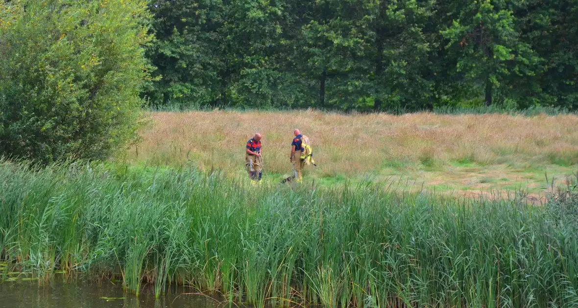 Brandweer haalt te water geraakte schapen uit het water - Foto 2