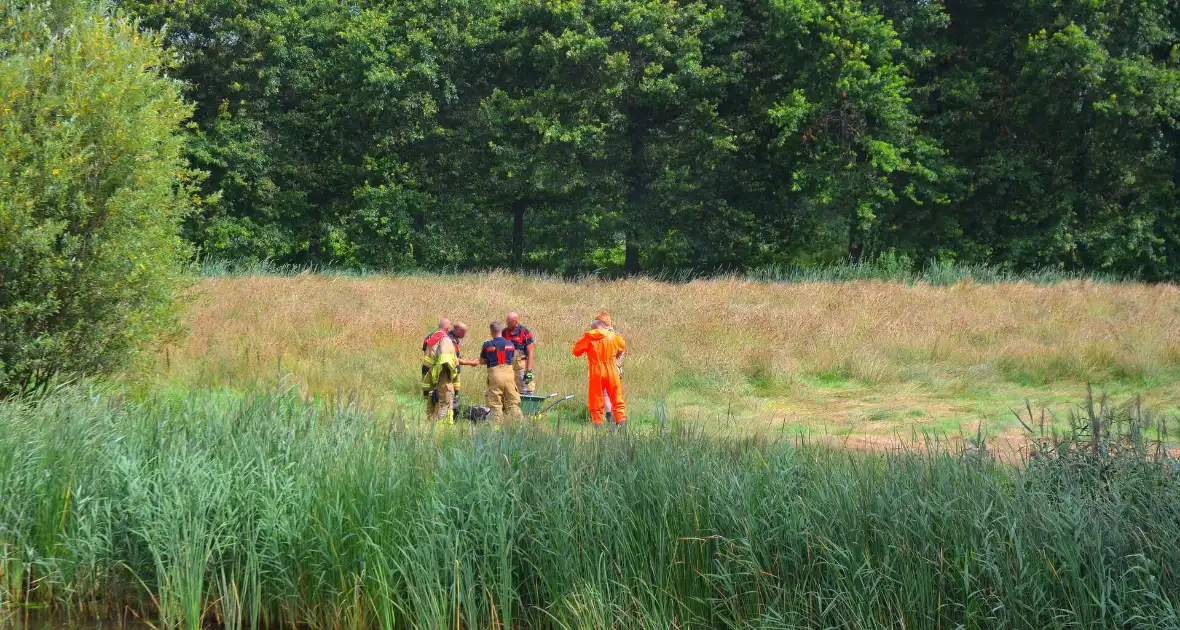 Brandweer haalt te water geraakte schapen uit het water - Foto 3