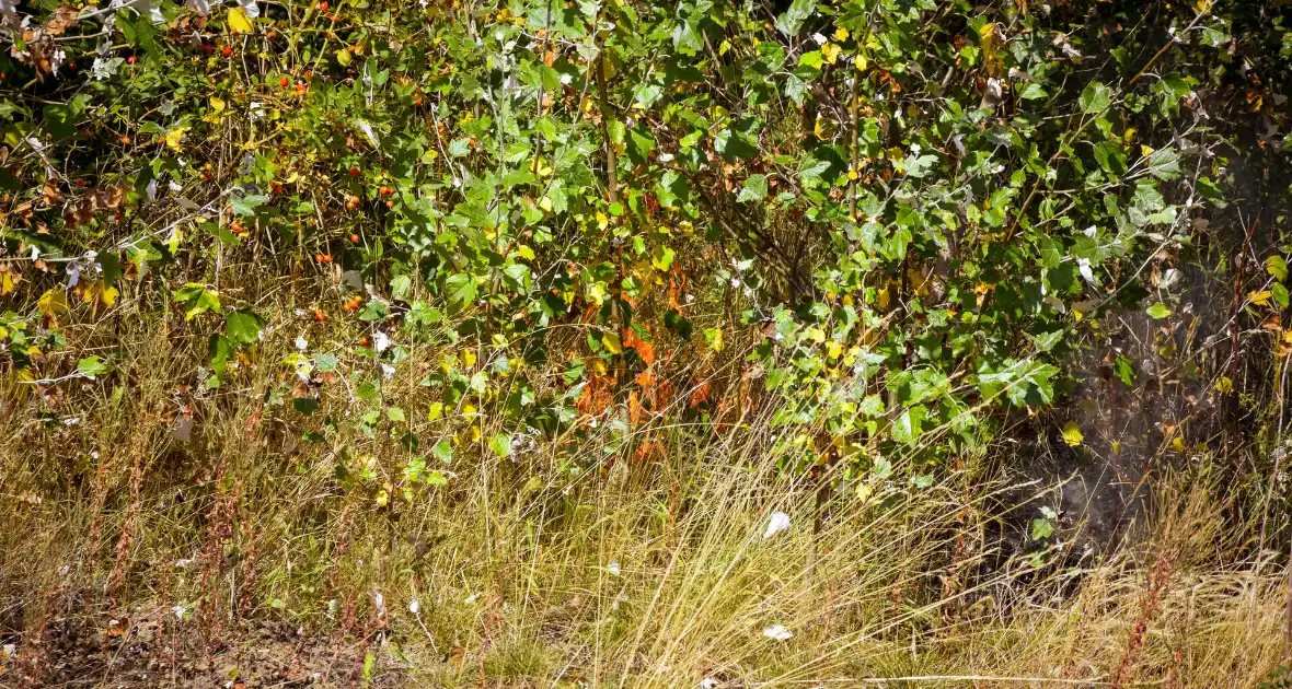 Brandweer ingezet voor brand in berm bij spoor - Foto 8