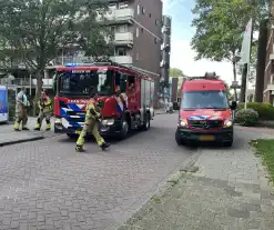 Hulpdiensten starten zoektocht in water naar vermist meisje