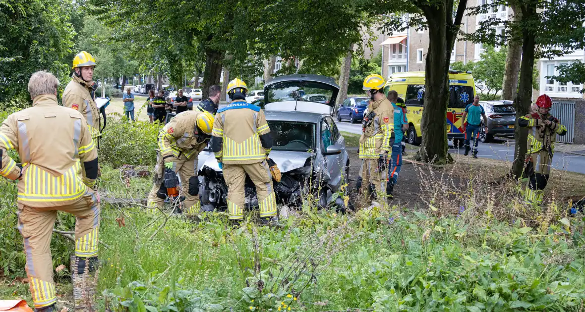 Ravage nadat auto van weg raakt en crasht