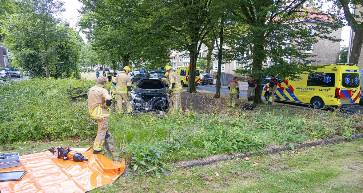 Ravage nadat auto van weg raakt en crasht - Foto 9