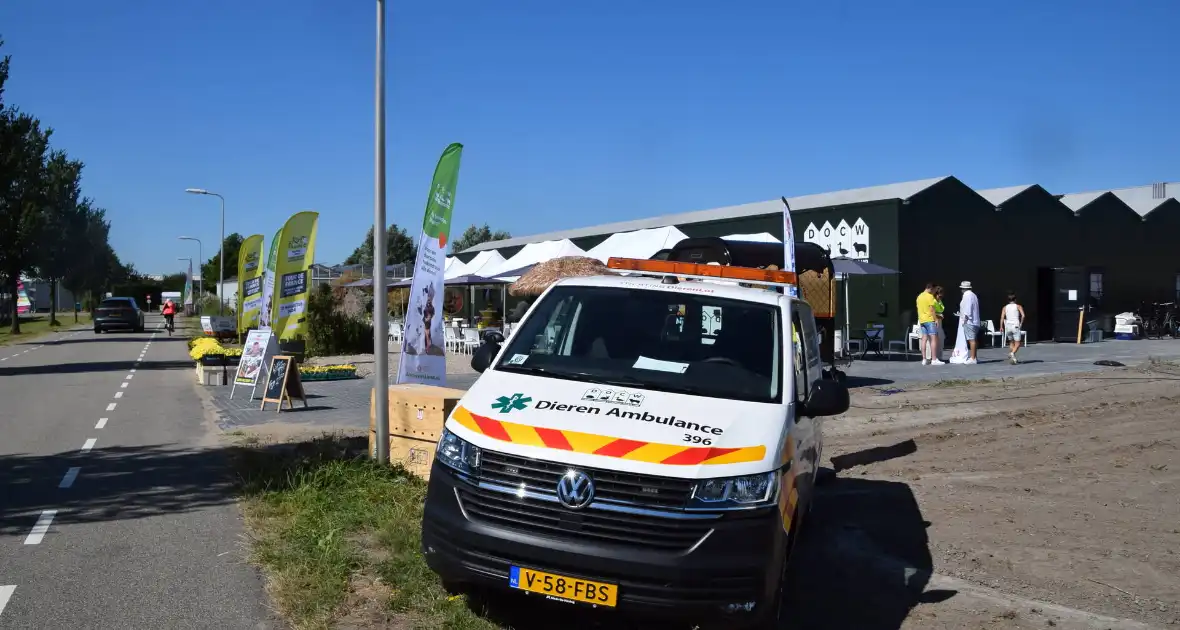 Dorpen bereiden zich voor op doorkomst tour de France - Foto 2