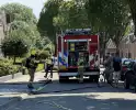 Coniferenhaag bij woning in brand