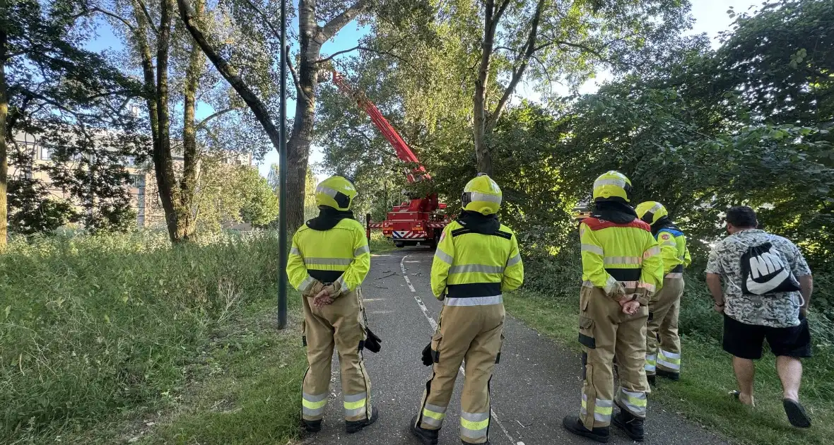 Brandweer ingezet voor dreigend hangende tak