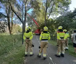 Brandweer ingezet voor dreigend hangende tak