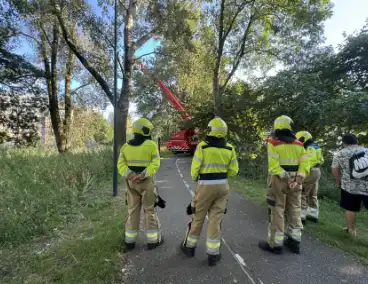 Brandweer ingezet voor dreigend hangende tak