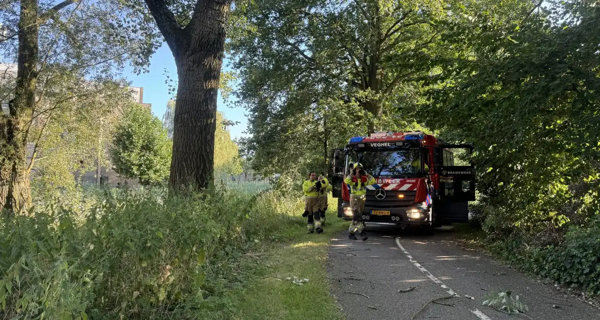 Brandweer ingezet voor dreigend hangende tak - Foto 1