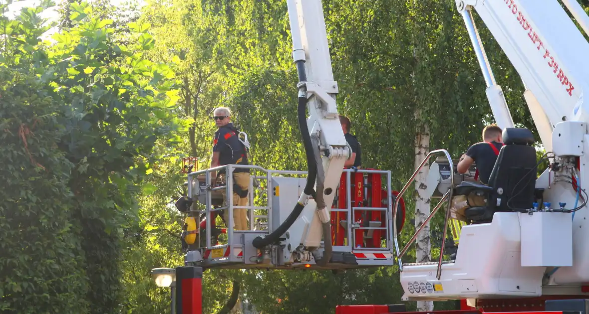 Brandweer weet kat van dak te halen - Foto 2