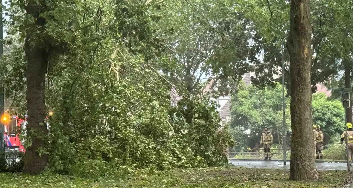 Brandweer druk met stormschade