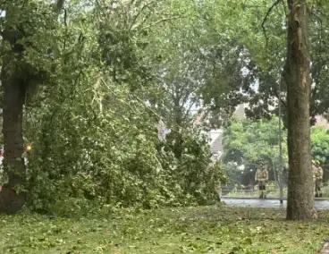 Brandweer druk met stormschade