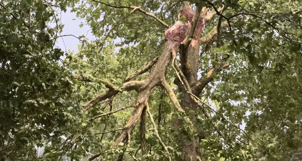 Brandweer druk met stormschade - Foto 2