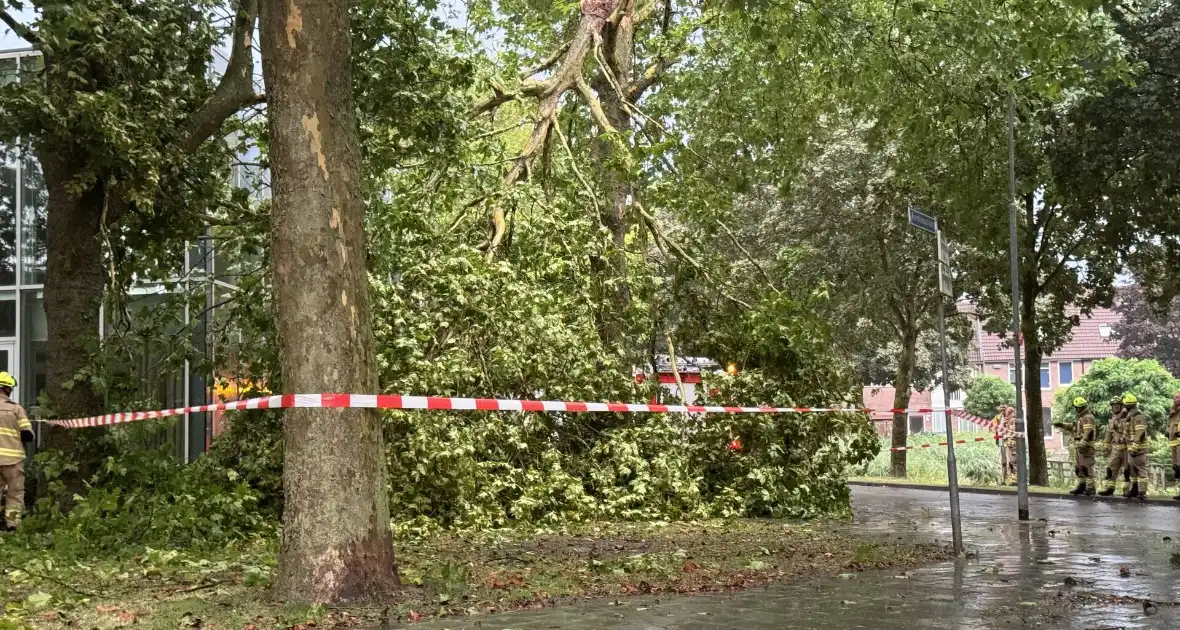 Brandweer druk met stormschade - Foto 4