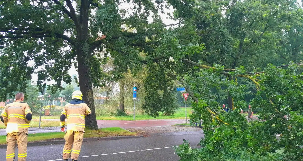 Afgebroken tak verspert wegdek - Foto 1