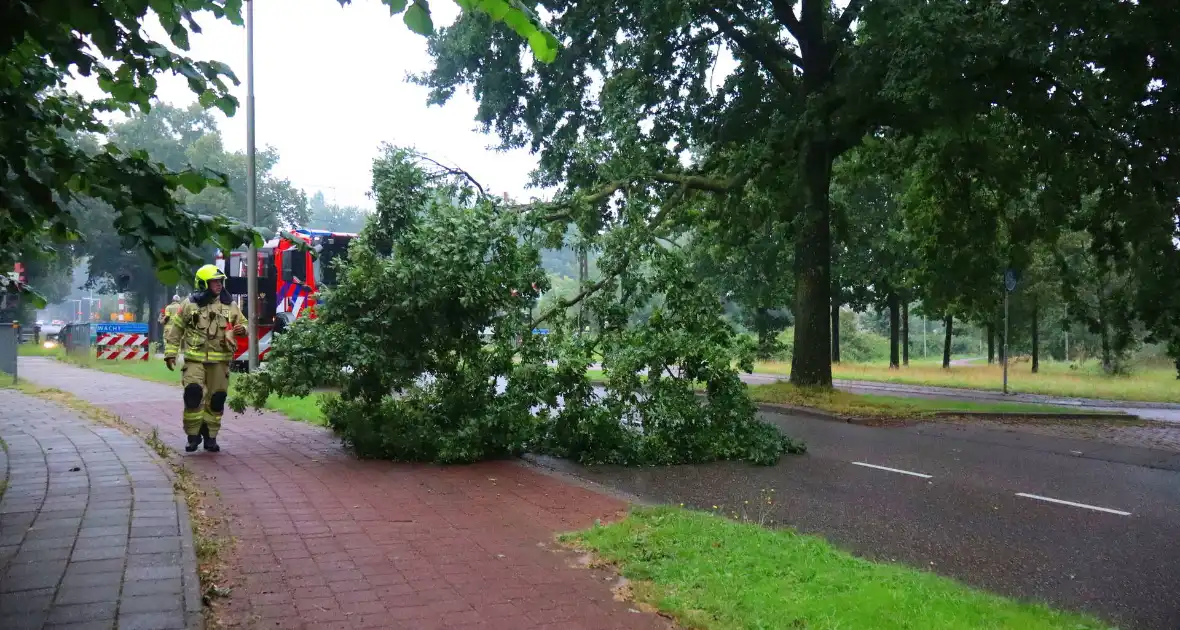 Afgebroken tak verspert wegdek - Foto 3