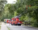 Brandweer in actie voor laaghangende tak