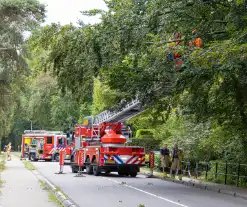 Brandweer in actie voor laaghangende tak