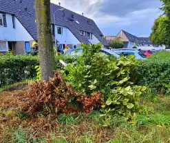 Tak valt op auto van invalide