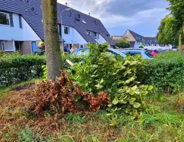 Tak valt op auto van invalide