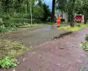 Boom breekt af en belandt naast weg