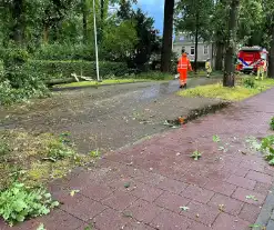 Boom breekt af en belandt naast weg