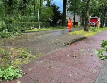 Boom breekt af en belandt naast weg