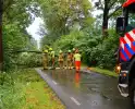 Verkeer verhinderd door grote tak op weg