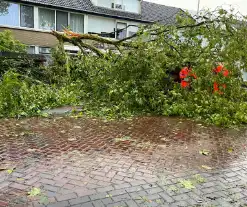 Grote takken belanden op auto vlak voor woning