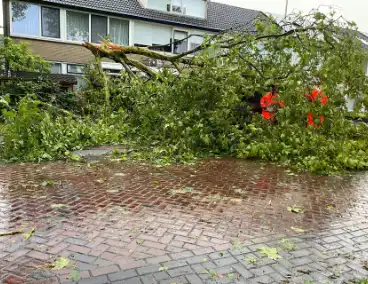 Grote takken belanden op auto vlak voor woning